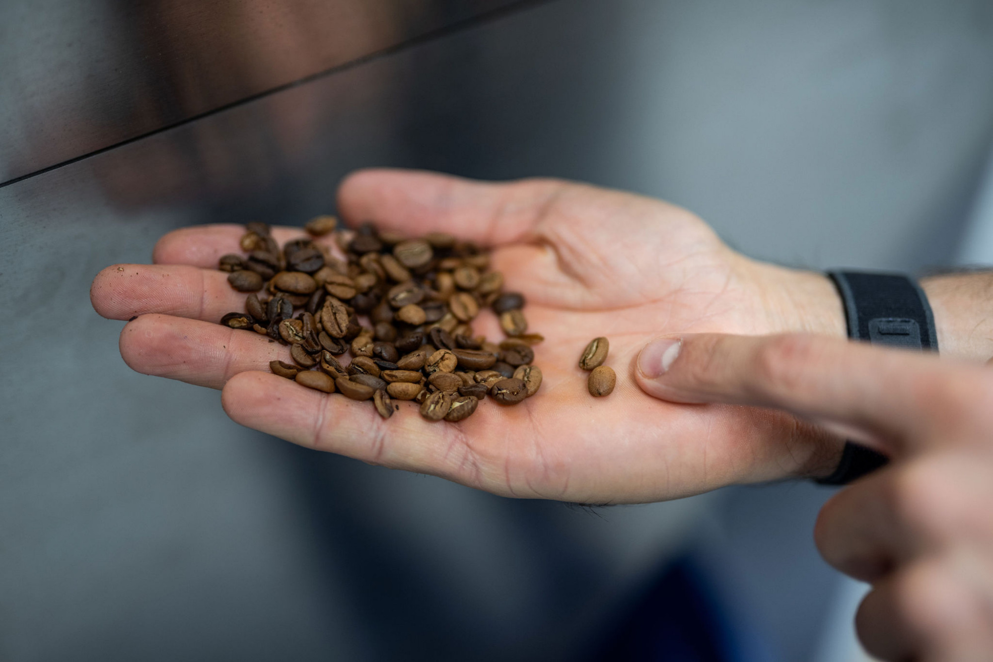 Pražení kávy ve Fiftybeans - quakery
